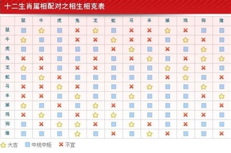 屬龍相剋|【十二生肖龍與什麼相剋】12生肖相生相剋表 